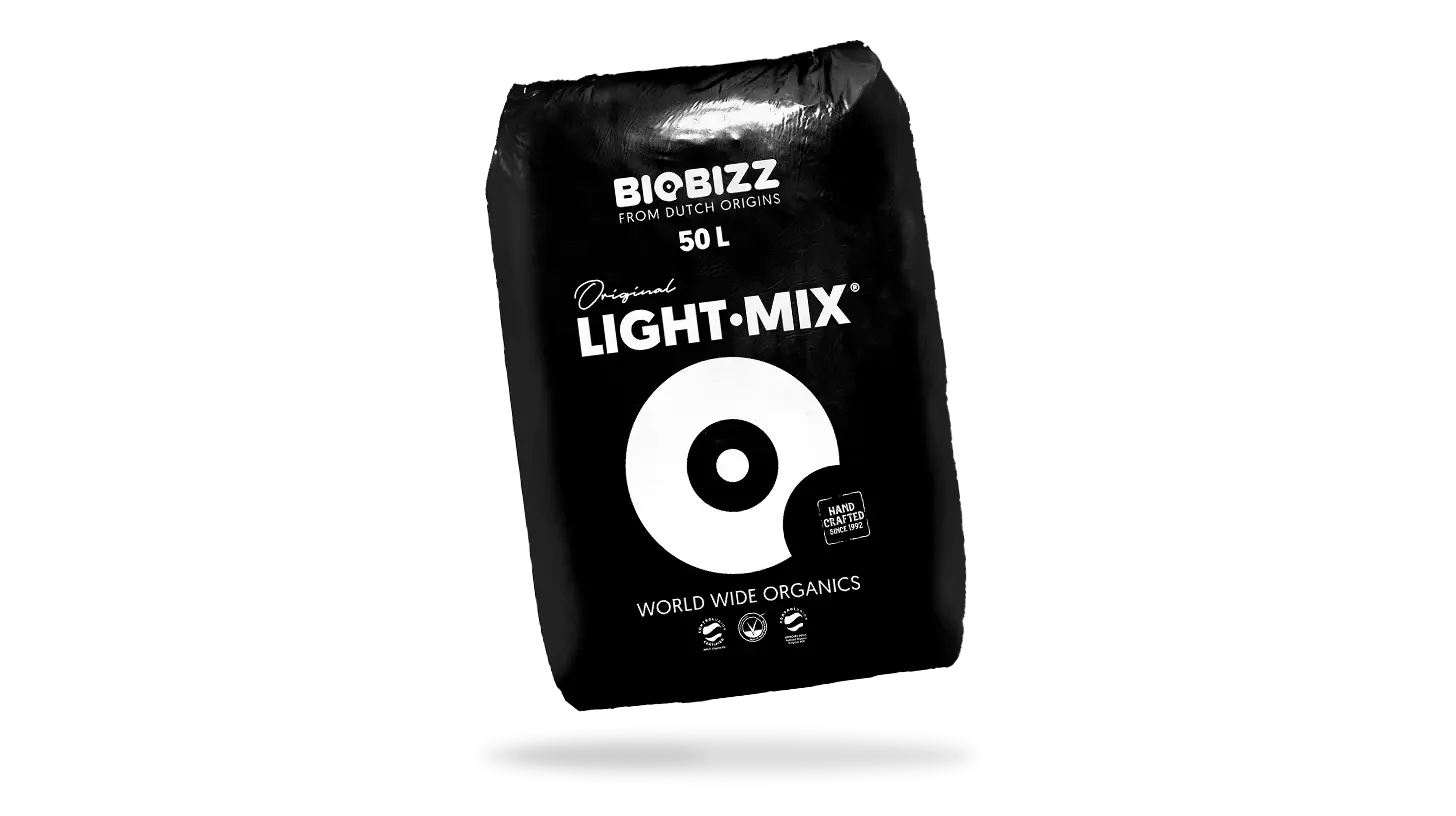 Cannabissämlinge erfolgreich großziehen: Tipps für starke Pflanzen 11