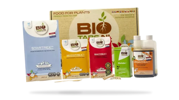 Nährstoffmängel und -überschüsse bei Cannabispflanzen: Erkennen und Behandeln 13