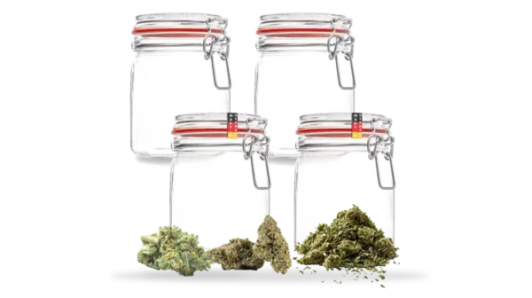 Cannabis lagern: So bleibt dein Gras frisch und potent 12