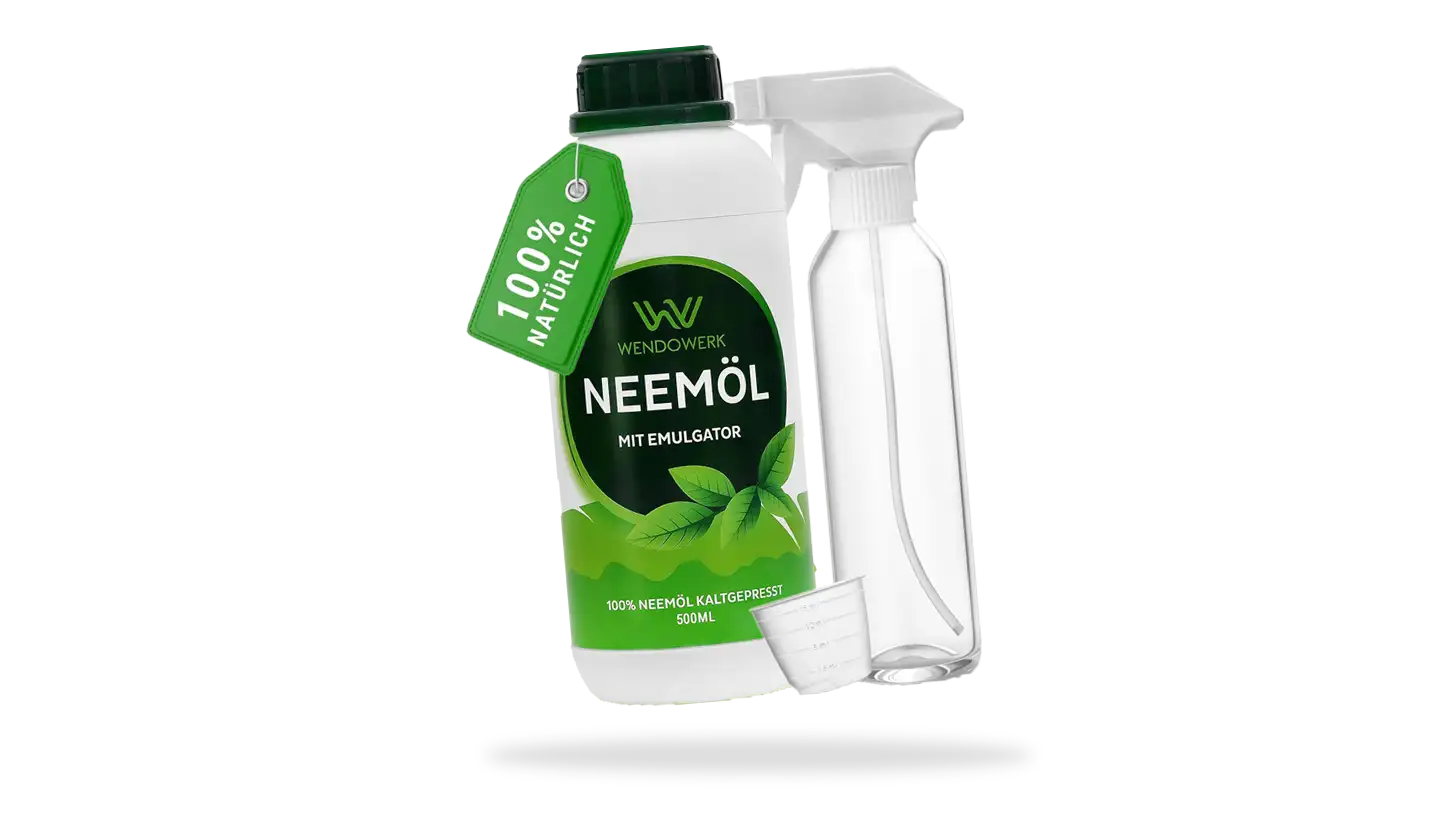 Schädlinge an Cannabispflanzen: Erkennen und Bekämpfen 9