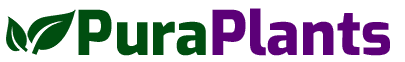 PuraPlants logo e1757688716209