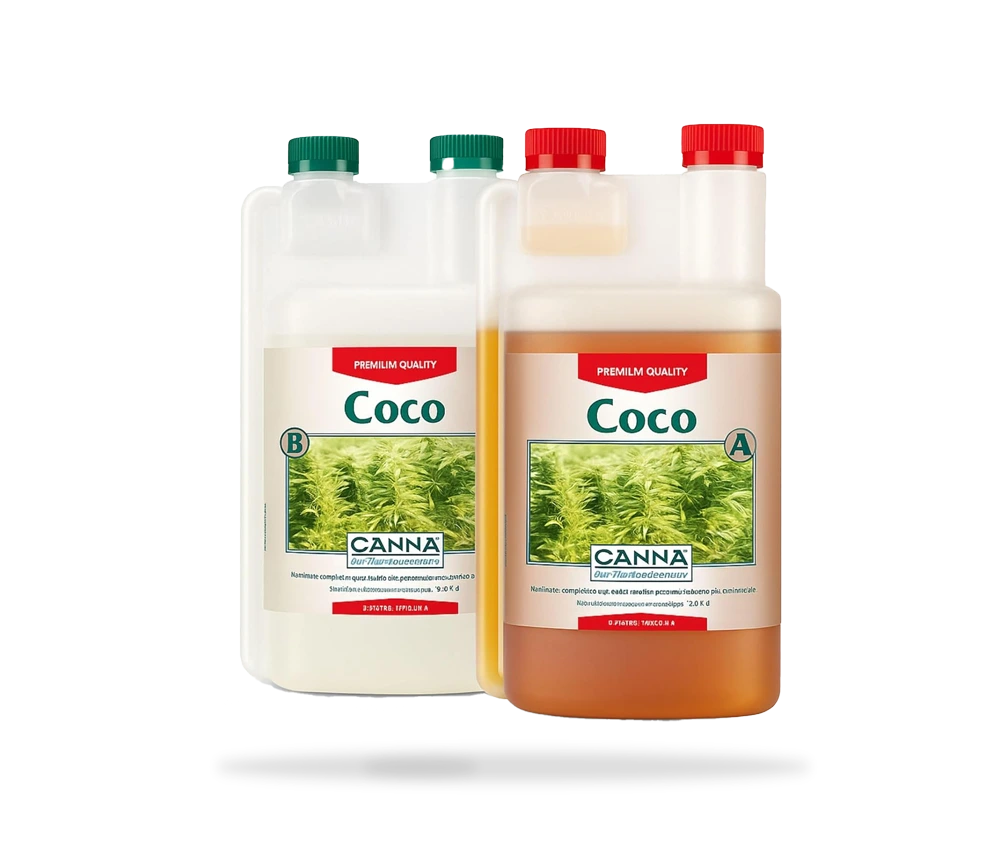 LoL_CannaCoco LoL CannaCoco